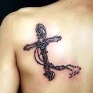 6686体育签约作者Maximus